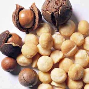 High Quality Macadamia Nuts Best Price Supplier